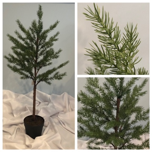 Baby Spruce Tree (2 PK) - Themed Rentals - Baby Christmas tree set for rent WI